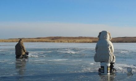 Ice Surfing