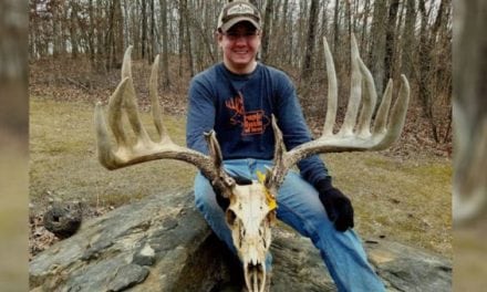 Iowa DNR Reminds Shed Hunters About the Importance of a Salvage Tag
