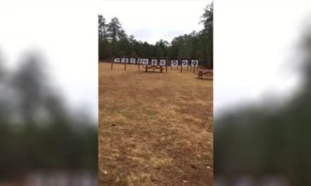 Is It Possible to Shoot an Accurate 100-Yard Shot with a Bow?