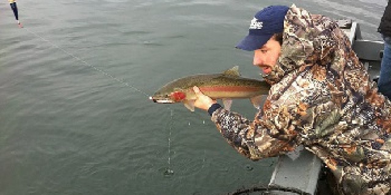 Jigs For Steelhead