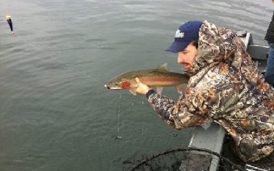 Jigs For Steelhead