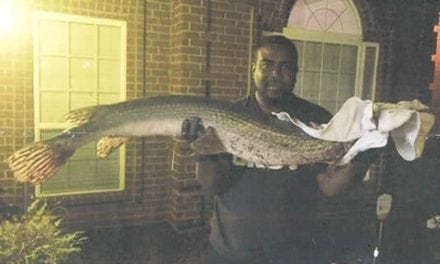 Mississippi Longnose Gar Caught, Is A World Record