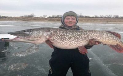 Monster Northern Pike Comes Out of the Ice in South Dakota