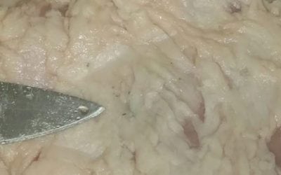 Officials Warn That Feral Hog Meat in Texas is Infected with Tapeworm Larvae