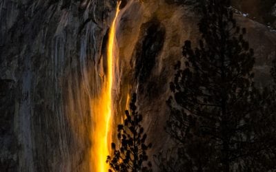 Olympus OM-D System: Lighter And Better