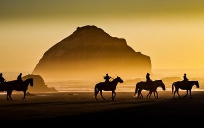 Photo Of The Day By Bob Pool