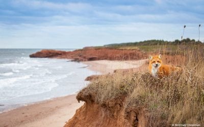 Photo Of The Day By Brittany Crossman