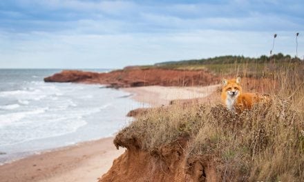 Photo Of The Day By Brittany Crossman