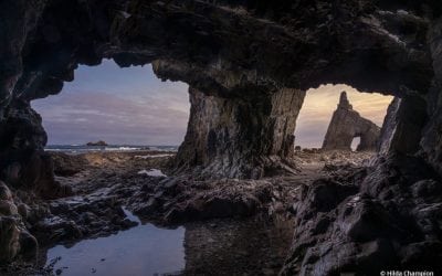 Photo Of The Day By Hilda Champion