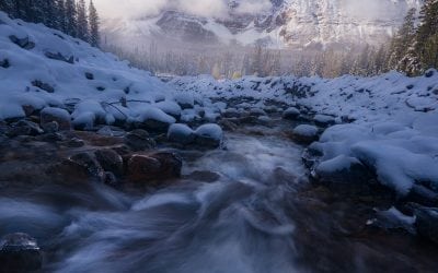 Photo Of The Day By Matt Meisenheimer