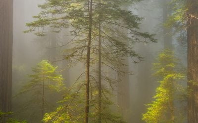 Photo Of The Day By Michael Ryan