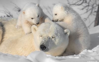 Photo Of The Day By Nadeem Sufi