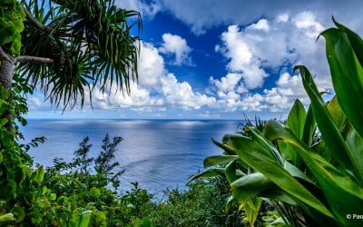 Photo Of The Day By Paul Telenko