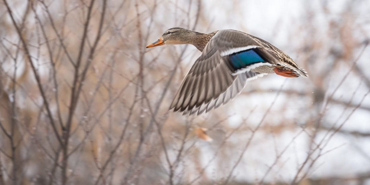 Photo Of The Day By Penny Meyers