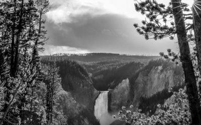 Photo Of The Day By Rom Savage