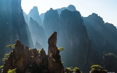 Photo Of The Day By Siu Lau