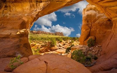 Photographic Portals Assignment Winner Bob Faucher