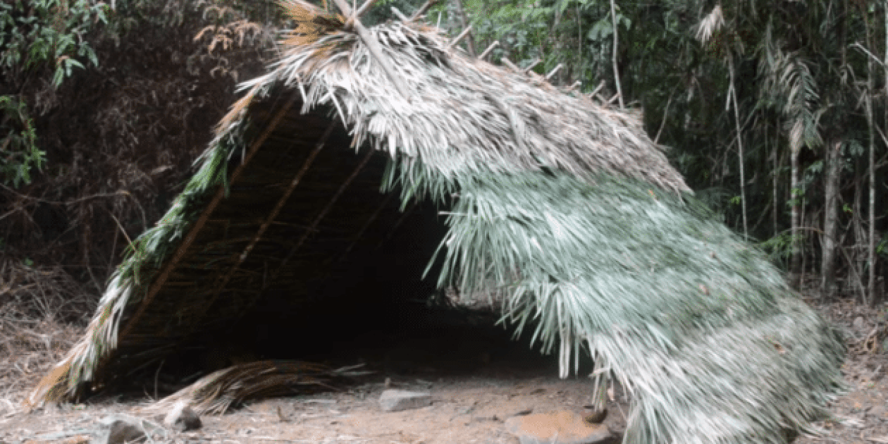 Primitive Technology: How to Build an Elaborate A-Frame Hut with Stone Age Tools