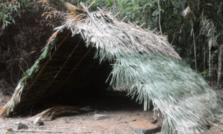 Primitive Technology: How to Build an Elaborate A-Frame Hut with Stone Age Tools