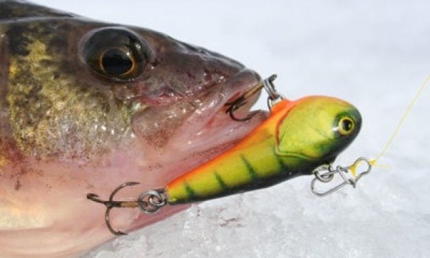 Salmo’s Chubby Darter Targets Winter Panfish
