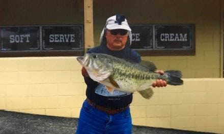 Shore Angler Tries for Trout, Lands 15.46-Pound Lunker Largemouth