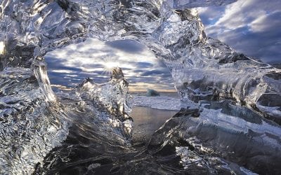 Showcase: December 2017