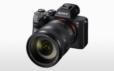 Sony a7 III Hits A Sweet Spot Of Price And Performance