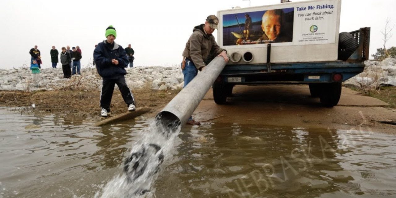 Spring Trout Stocking, 2018