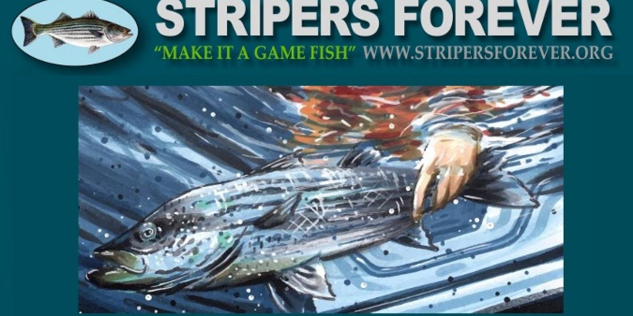 Stripers Forever Fund-Raising Auction