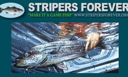 Stripers Forever Fund-Raising Auction