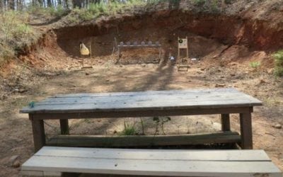 Sunday Gunday: 4 Budget-Friendly Plinking Rifles Worth Buying