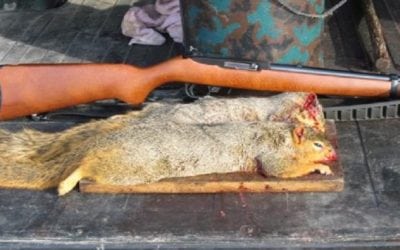 Sunday Gunday: Top 5 Hunting Guns to Buy on a Budget