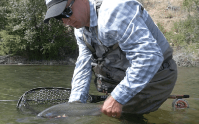 The Great C&R Advice We All Need to Hear