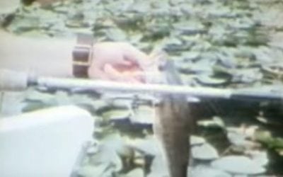 Throwback Thursday: Bass Fishing in 1979