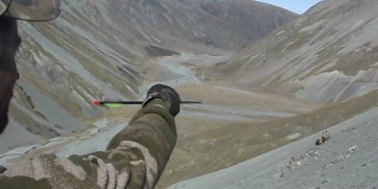 Tim Wells Smokes a Tahr with a 130-Yard Moonshot