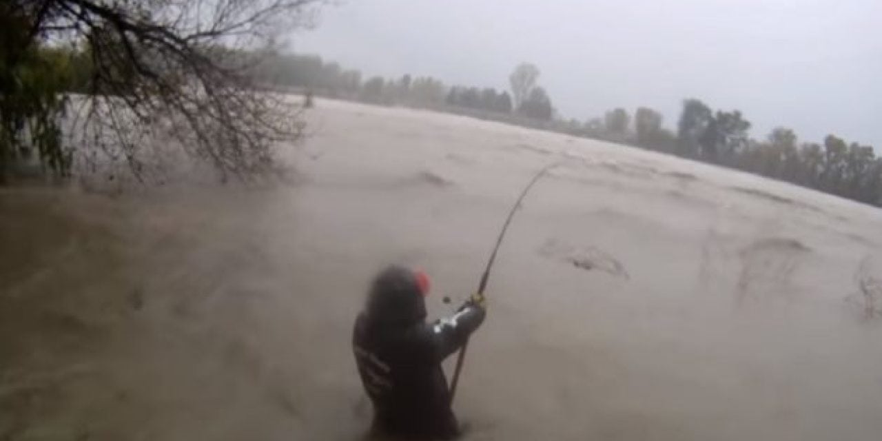 Tough Angler Braves Flood-Swollen River to Catch Catfish