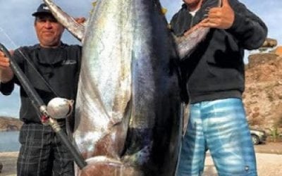 Two IGFA Record Catches January 2018