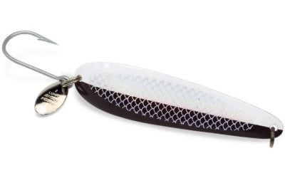 Use The Coyote Spoon For Saltwater Salmon