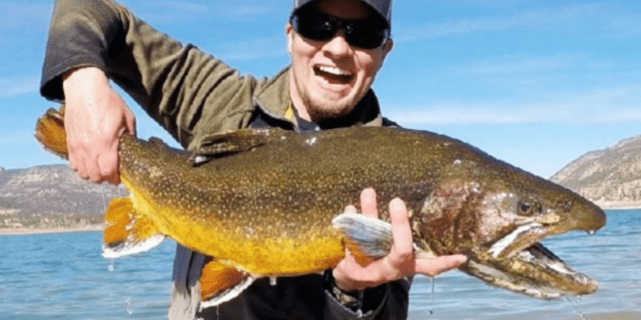 Utah Angler Catches New State-Record Splake