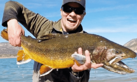 Utah Angler Catches New State-Record Splake