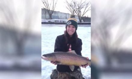 Video: Brittany Jill Takes Another Sweet Brown Trout Through the Ice
