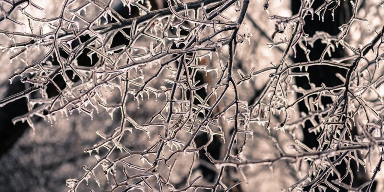 Winter Macro Assignment Winner Jody Partin