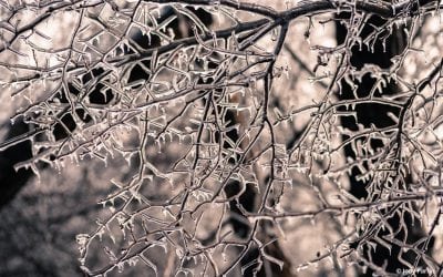 Winter Macro Assignment Winner Jody Partin