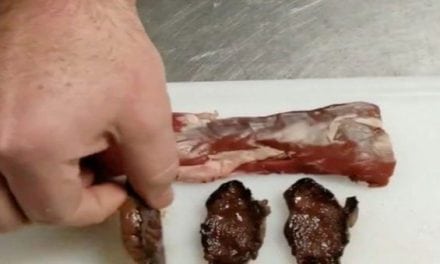 Would You Eat Coyote Meat? Here’s a Taste Test of Coyote Backstrap Straight from the Grill