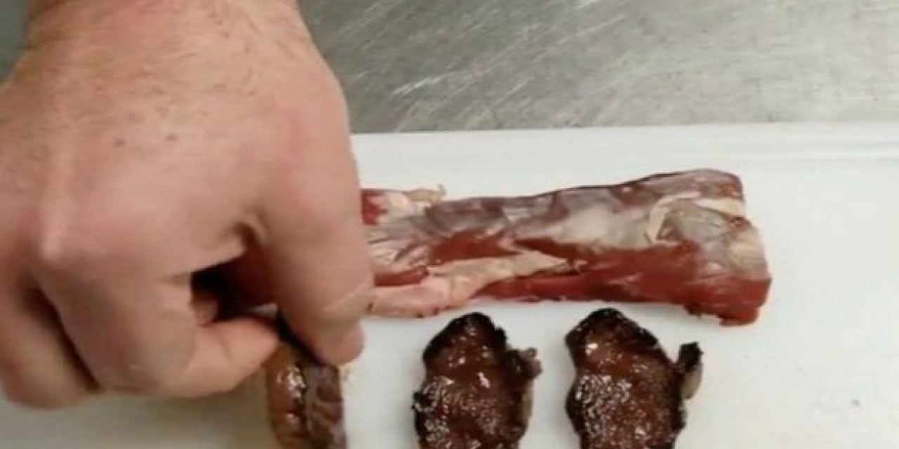 Would You Eat Coyote Meat? Here’s a Taste Test on Coyote Backstrap Straight from the Grill