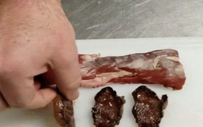 Would You Eat Coyote Meat? Here’s a Taste Test on Coyote Backstrap Straight from the Grill