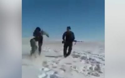 Wounded Wolf Attacks Hunter