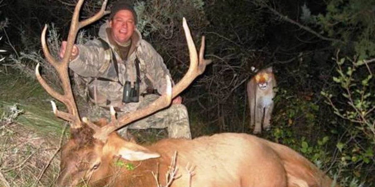 12 Terrifying Encounters with Deadly Animals