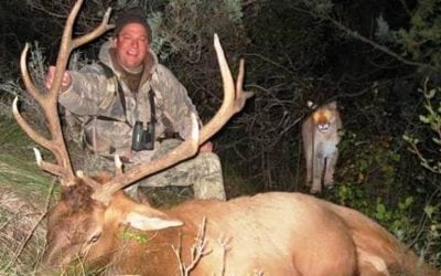 12 Terrifying Encounters with Deadly Animals