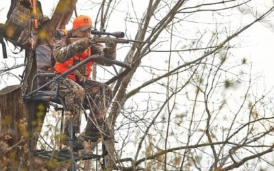 5 Great Ways to Hide From Deer